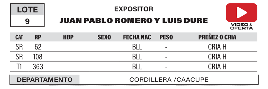 Lote LOTE 9- POR PANTALLA