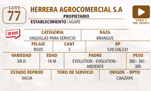 Lote LOTE 77 -EN VIVO