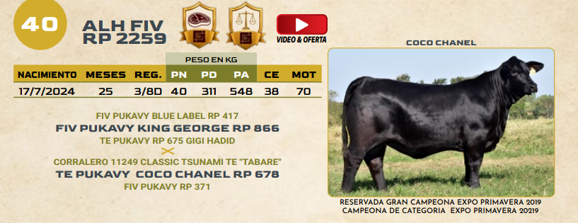 Lote LOTE 40