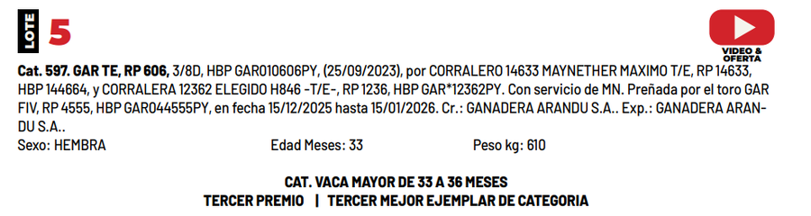 Lote LOTE 5