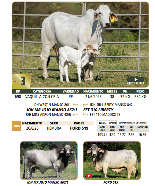 Lote LOTE 3