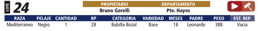 Lote LOTE 24