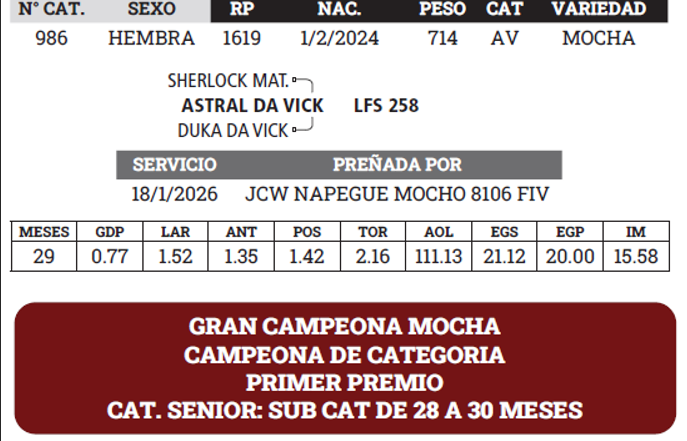 Lote LOTE 13 - BOZAL - SALE A VENTA EL 50%