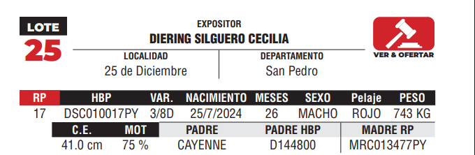 Lote LOTE 25 - DE CAMPO