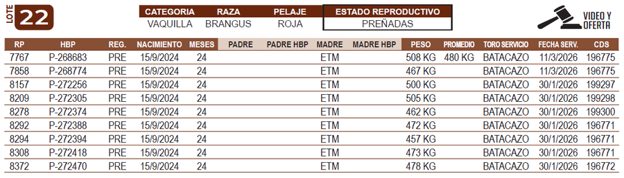 Lote LOTE 22