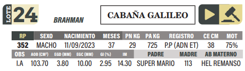 Lote LOTE 24