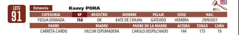 Lote LOTE 91