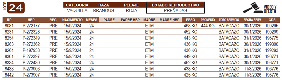 Lote LOTE 24