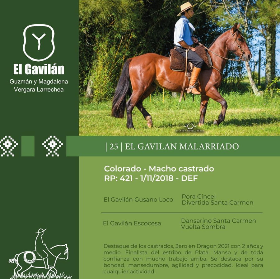 Lote El Gavilán Malarriado (RP 421) Cabaña "El Gavilán"