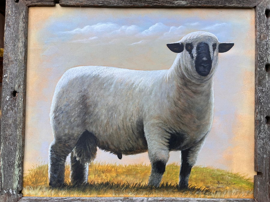 Lote LOTE 3 DONACION - CUADRO 60x50