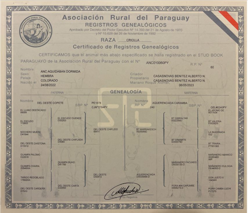 Lote LOTE 3 - DE CAMPO