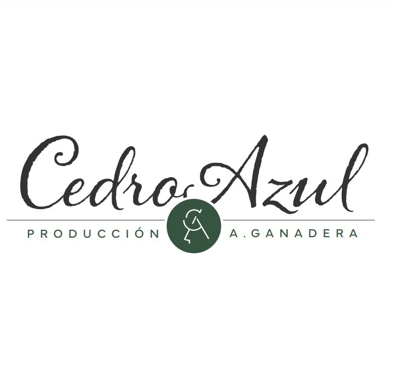 Lote Cabaña Cedro Azul: Vacas de tercera y cuarta parición coloradas