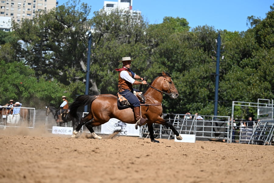 Lote DEL YARETAL PICHICIEGO