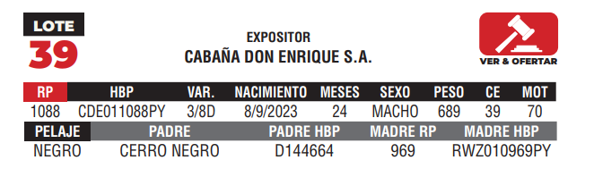 Lote LOTE 39 - CAMPO
