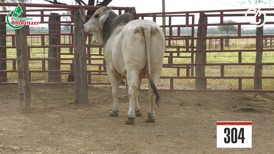 Lote Brahman