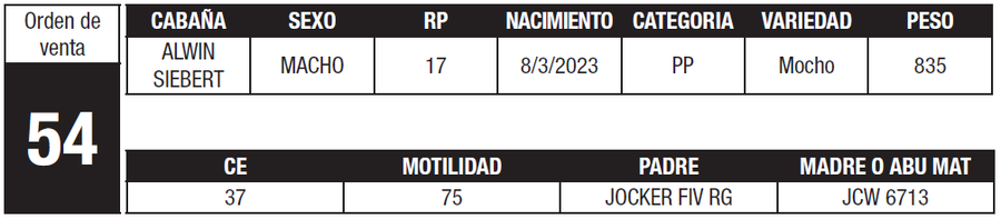 Lote LOTE 54