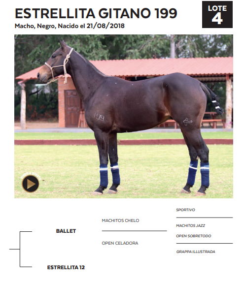Lote LOTE 4