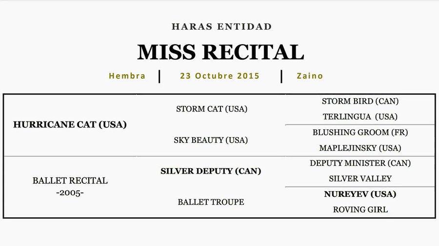 Lote MISS RECITAL (HURRICANE CAT - BALLET RECITAL)