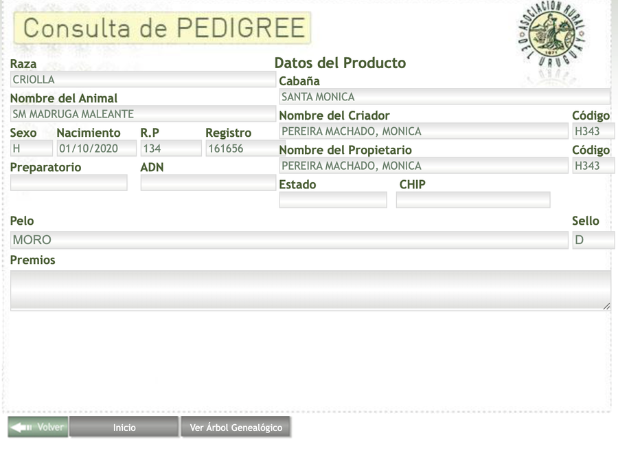 Lote SM Madruga Maleante