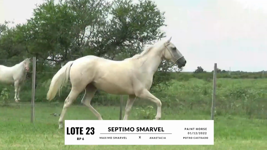 Lote SEPTIMO SMARVEL