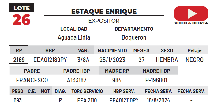 Lote LOTE 26
