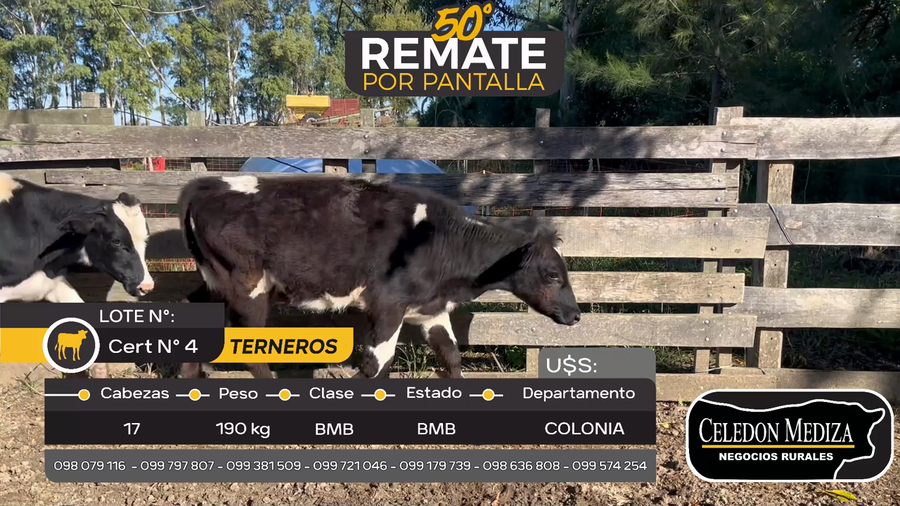 Lote 17 Terneros en Otra Localidad, Colonia