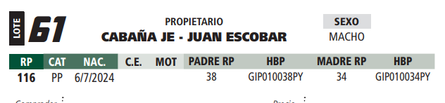 Lote LOTE 61- ELITE