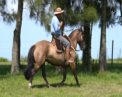Lote El Gavilán Lagarta (RP 405) Cabaña "El Gavilán"