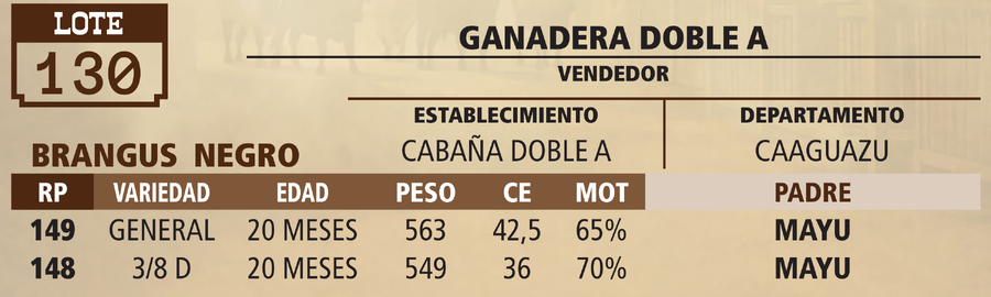 Lote LOTE 130 - PANTALLA