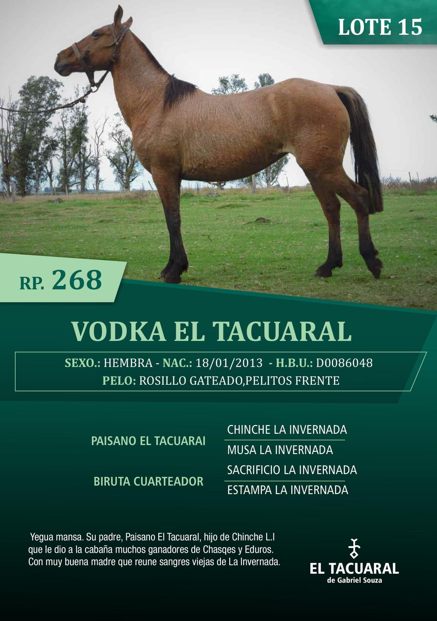 Lote VODKA EL TACUARAL - R.P. 268