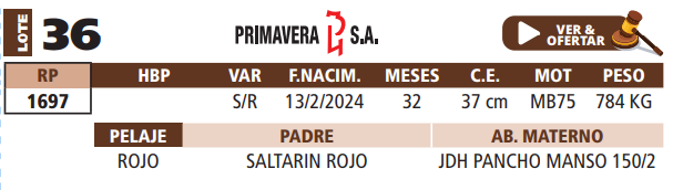 Lote LOTE 36