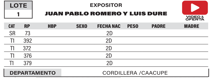 Lote LOTE 1- POR PANTALLA