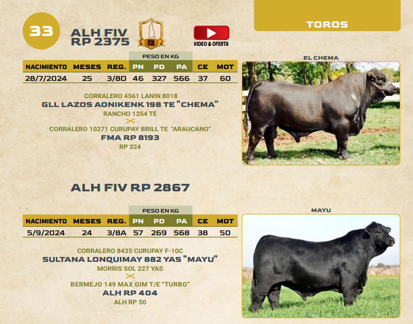 Lote LOTE 33