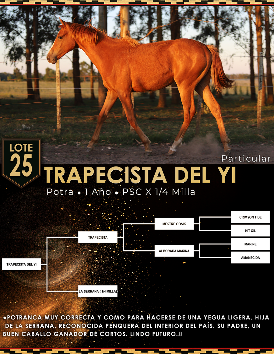 Lote TRAPECISTA DEL YÍ