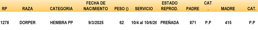 Lote LOTE 40