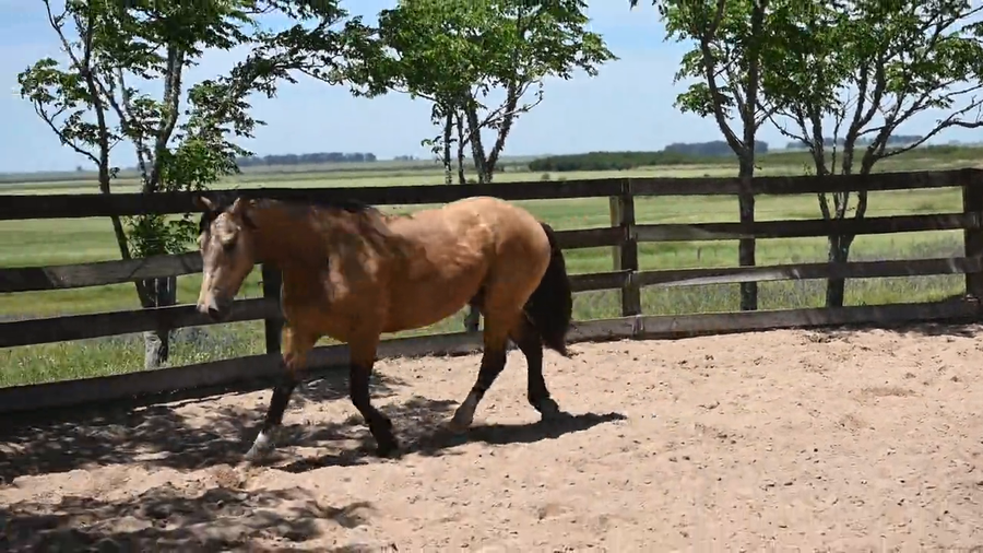 Lote CAÑADA  LACASTER