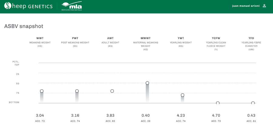 Lote Carnero TOP, 21-1384