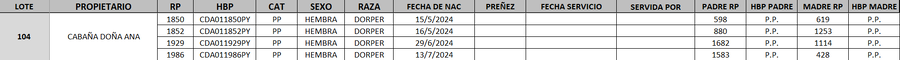 Lote LOTE 104