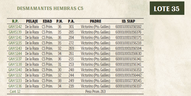 Lote LOTE 35