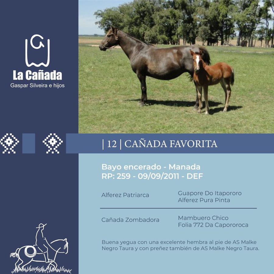 Lote Cañada Favorita (RP 259) Cabaña "La Cañada"