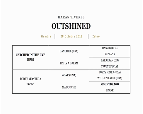 Lote OUTSHINED (CATCHER IN THE RYE - FORTY MONTERA)