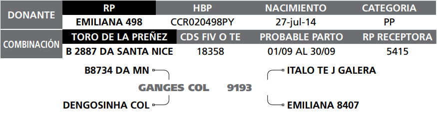 Lote LOTE PREÑEZ 48 RP LA EMILIANA 498