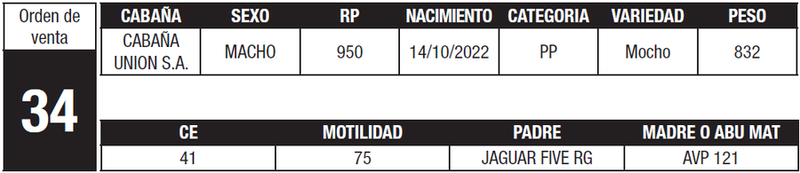 Lote LOTE 34
