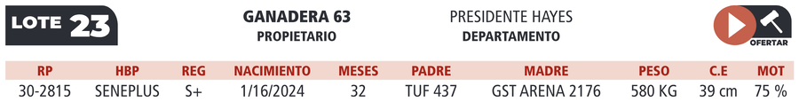Lote LOTE 22