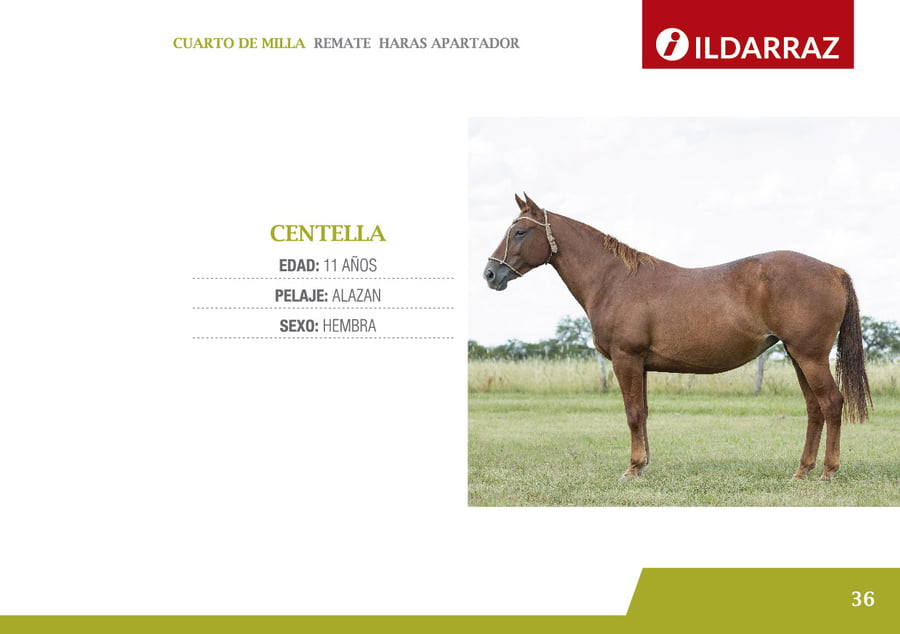 Lote CENTELLA