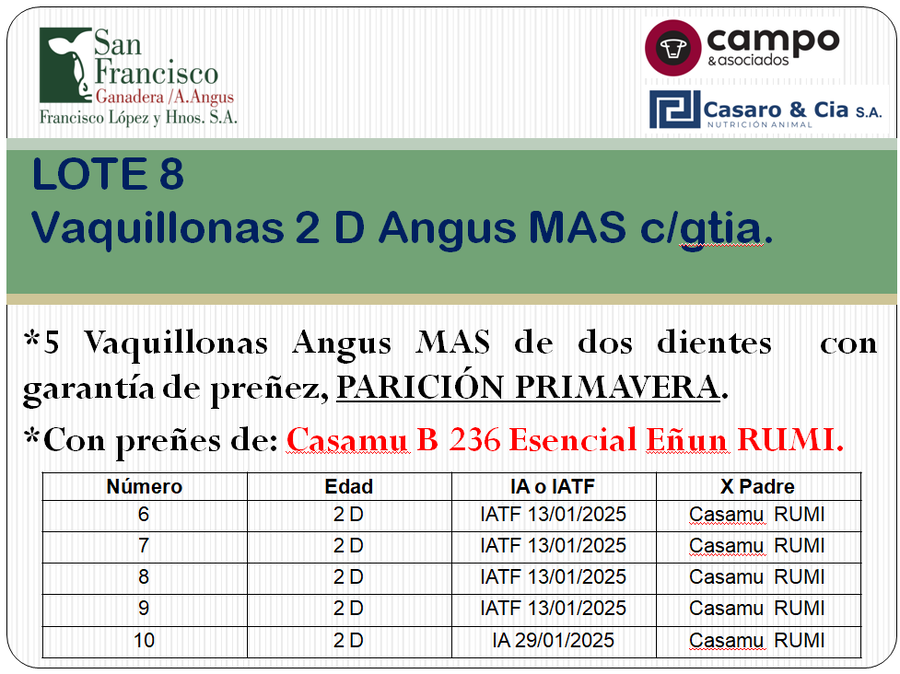 Lote 5 Vaquillonas Angus MaS con garantía de preñez, al parir. San Francisco