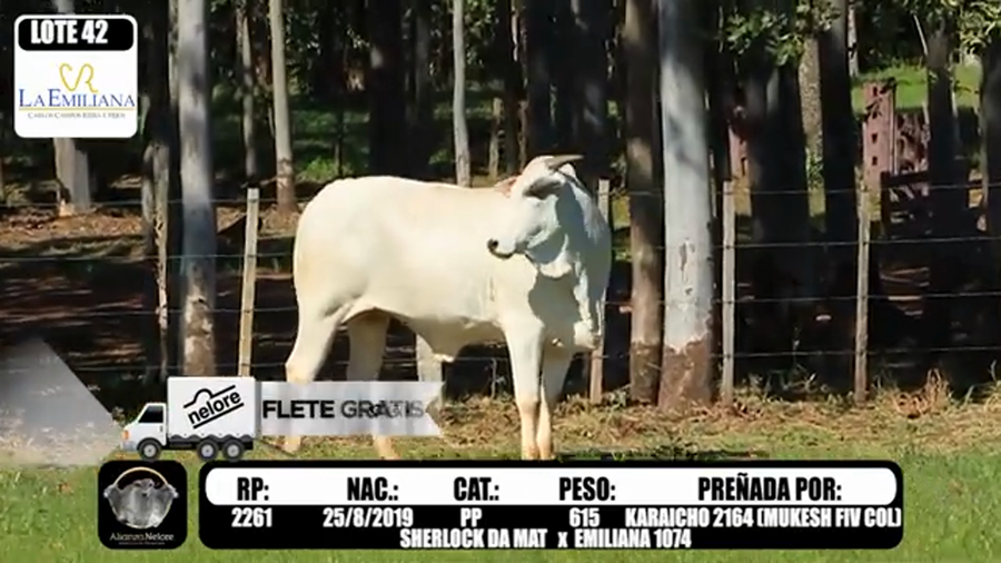 Lote LOTE 42 - RP E2261