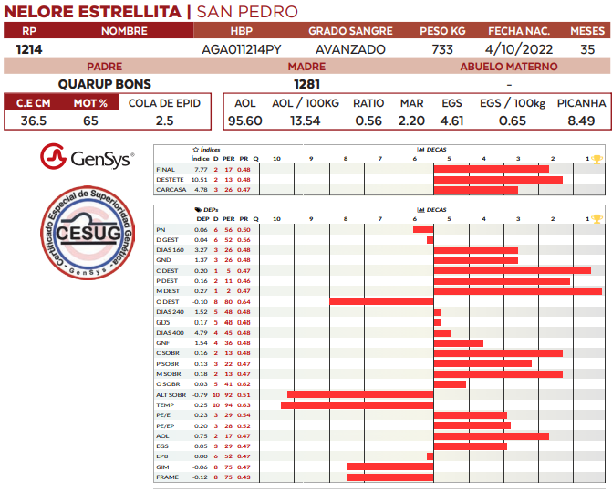 Lote LOTE 61