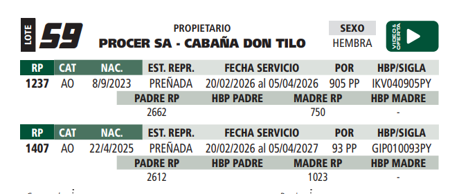 Lote LOTE 59