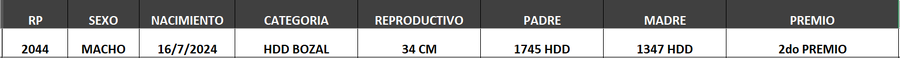 Lote LOTE 16- BOZAL